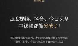 西瓜视频新手爆料,揭秘短视频制作与运营的秘诀
