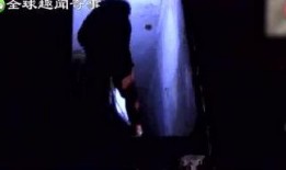 奇闻异事爆料视频完整版,神秘事件完整版视频深度解析