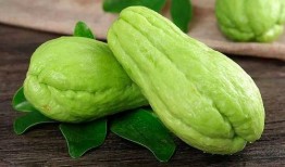 推特网红推荐吃瓜,揭秘那些让人欲罢不能的神秘瓜界传奇！”