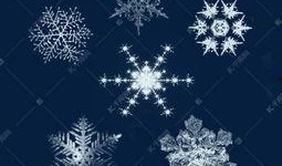视频爆料雪花飘飘,揭秘视频爆料背后的故事