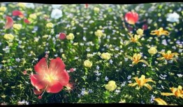 qq王者皮肤最新爆料是什么,神秘皮肤即将登场，玩家期待值飙升！