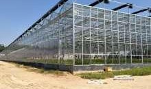 大棚娱乐爆料,独家爆料带你探秘娱乐圈风云