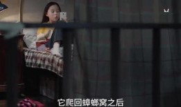 小姐姐最近爆料事件视频,小姐姐最新爆料视频背后的惊人真相