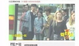 恋情爆料模板视频大全,视频大全带你领略明星情感世界