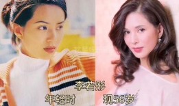 娱乐圈大爆料的书,揭秘明星背后的秘密与真相