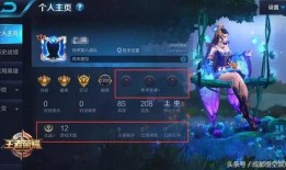 在哪开王者最新爆料台词,揭秘“在哪开”神秘台词背后的秘密