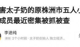 七人小组爆料事件真相视频,事件真相视频曝光背后的惊人内幕