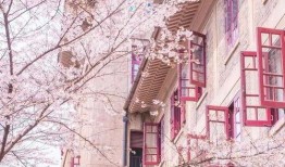 武汉大学最新事件爆料有哪些,揭秘校园风云再起背后的真相