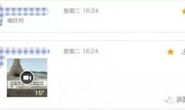 三叶最新爆料网站在线观看