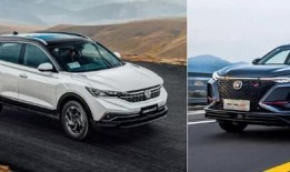 风神最新爆料视频