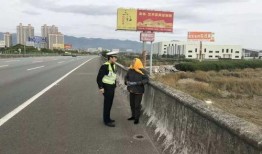 拉哈密瓜在高速上免费吃吗,拉哈密瓜免费享