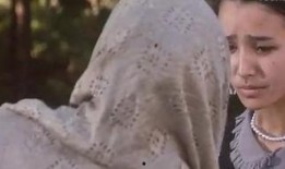 孤女 在线观看,揭开神秘身世，探寻爱与救赎的旅程