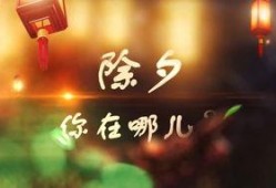除夕爆料的视频,年度大事件幕后真相曝光