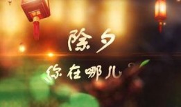 除夕爆料的视频,年度大事件幕后真相曝光