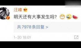 娱乐圈吃瓜爆料网盘下载,网盘下载揭秘，吃瓜群众狂欢时刻