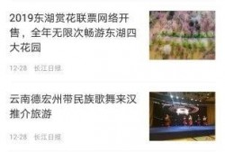 武汉新闻平台爆料,重大事件引发社会关注