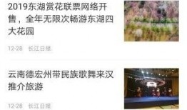 武汉新闻平台爆料,重大事件引发社会关注