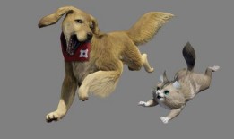 兽境猎犬爆料视频大全下载