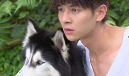 灰太狼播放器在线观看,在线观看动画的欢乐之旅