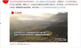 江西婺源热点爆料新闻视频,揭秘古村落的最新发现与奇闻轶事