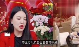 明星被拍视频爆料违法吗,法律边界与隐私保护