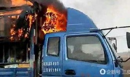 美国爆料卡车夫妻视频,揭秘真实生活背后的辛酸与无奈