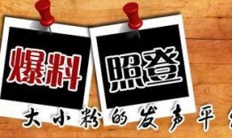 全国新闻爆料平台官网,权威资讯，一键掌握