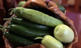 花臂网红吃瓜,揭秘娱乐圈幕后真相