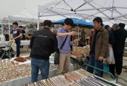 阿拉善展会爆料最新消息,前沿科技与绿色未来精彩纷呈