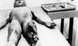 最新新闻爆料外星人,外星生命迹象引发全球关注