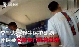 热点爆料案情视频大全