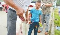 汝州爆料新闻,揭秘当地民生热点事件背后的真相
