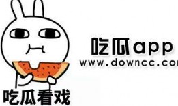 网红吃瓜 视频网站下载,揭秘热门视频网站下载攻略