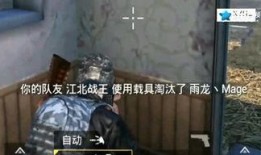 壮哥爆料吃鸡视频播放全集,精彩瞬间与幕后故事大公开