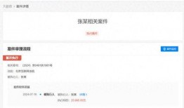 免费爆料在线下载视频,轻松获取热门视频教程