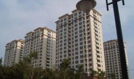 沈阳楼市爆料最新,房价走势与政策解读揭秘