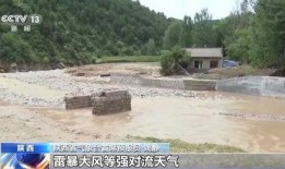 深圳爆料山洪最新消息,深圳山洪突发！最新救援进展及受灾情况通报