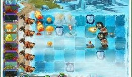 闪电芦苇最新爆料