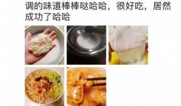 冷冻便当爆料视频大全集,视频大全集深度解析