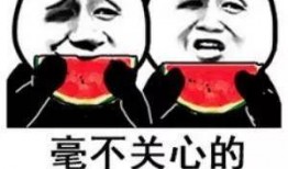 吃瓜娱乐简介句子,吃瓜群众眼中的明星幕后故事