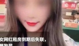 吃瓜网百万粉丝女网红,揭秘吃瓜网红背后的故事与影响力”