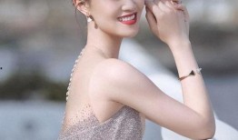 秦岚爆料蓝盈莹视频大全,揭秘娱乐圈背后风云