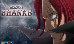 海贼王最新情报爆料是第几集