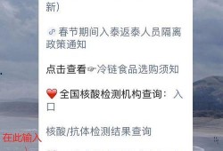 泰安核酸爆料事件真相最新,真相与反思