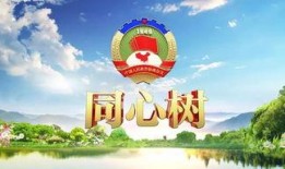 浙江卫视今日关注爆料,揭秘热门事件背后真相