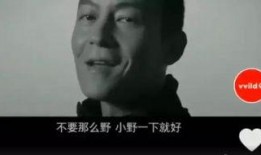 罗永浩爆料片段视频合集,揭秘科技圈幕后故事