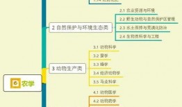 晚风清凉爆料视频大全集,揭秘幕后故事与精彩瞬间