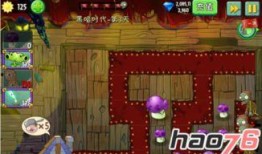 闪电芦苇最新爆料