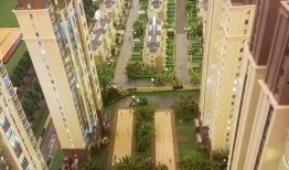 高新区珊瑚湾最新爆料,揭秘珊瑚湾未来规划与亮点