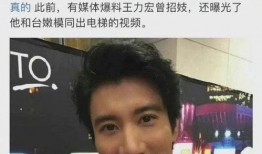 关于王力宏爆料的视频,娱乐圈背后的惊人真相